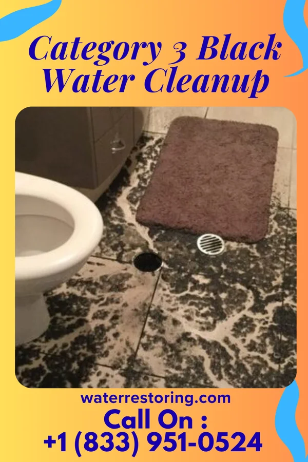 Category 3 Black Water Cleanup in Palmyra, NE