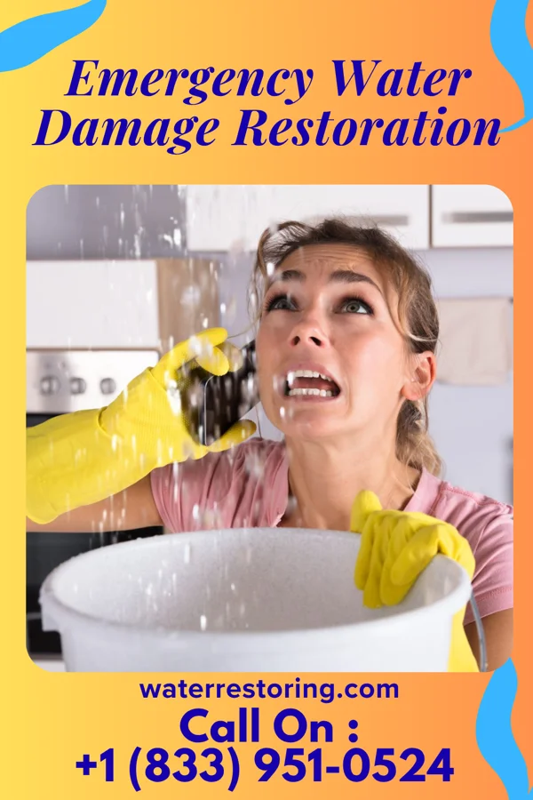 Emergency Water Damage Restoration in Palmyra, NE