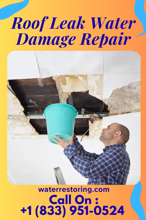 Roof Leak Water Damage Repair in Palmyra, NE