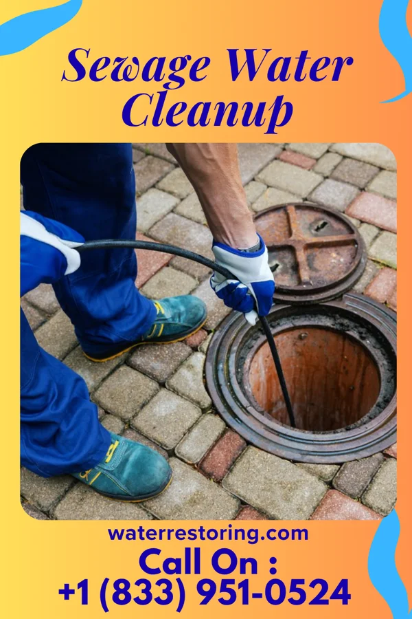 Sewage Water Cleanup in Palmyra, NE
